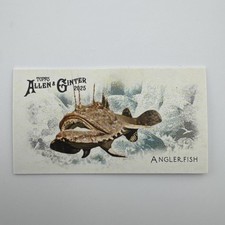 2025 Topps Allen & Ginter #FGW-8 Anglerfish 50 Fish From Global Waters Mini