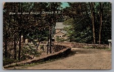 Cornish Blow Me Down Bridge, Houses, Trees. New Hampshire. 1908 Postcard TS-64a Cornish Blow Me Down Bridge, Houses, Trees. New Hampshire. 1908 Postcard TS-64a
