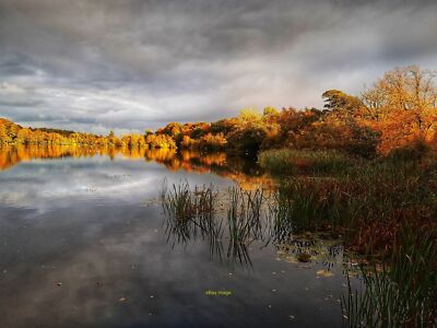 Photo 6x4 Bolam Lake - evening light after a shower  c2021