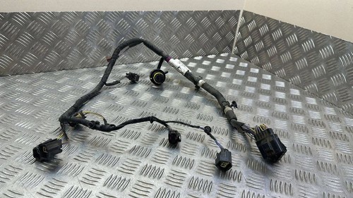 Gearbox wiring loom