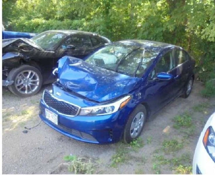 Tapacubos cubierta rueda 15" se adapta a 14-18 FORTE 4308620 Foto 2 de 4