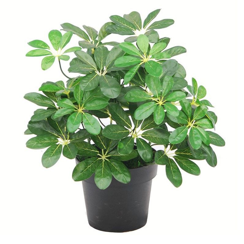 Botanik Dark Arboricola Plant Umbrella Artificial Tree 55cm - Plastic - Image 3