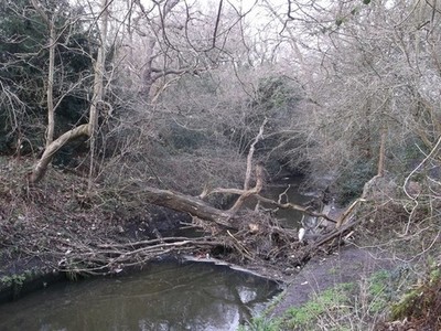 Foto A3 Blockade am Beverley Brook, Wimbledon Common New Malden wie gesehen c2013