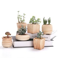 6 in Set 7.6 cm Ceramic Wooden Pattern Succulent Plant Pot Cactus Plant Pot F...