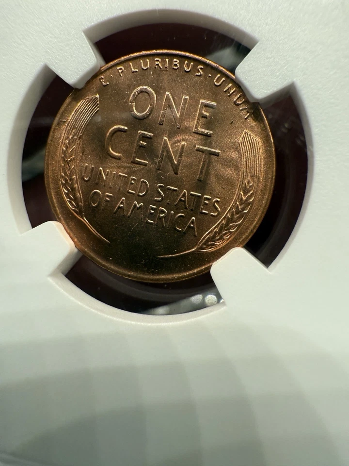 1955 D Penny MS66 Red NGC - Image 4 of 4