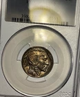 1938-D Buffalo Nickel 5 Cents Coin Brilliant PCGS MS66-Beautifully Toned!