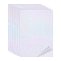 "12X8\" Hologr. Laminatfolien 6 Stk. Feindotmuster"