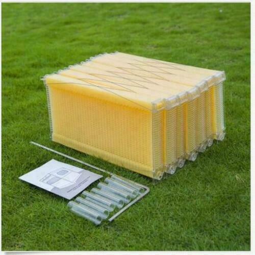 7Pcs Auto Flow Honey Bee hive Frames Beekeeping Kit Bee Hive Auto Harvest Honey - Picture 1 of 12