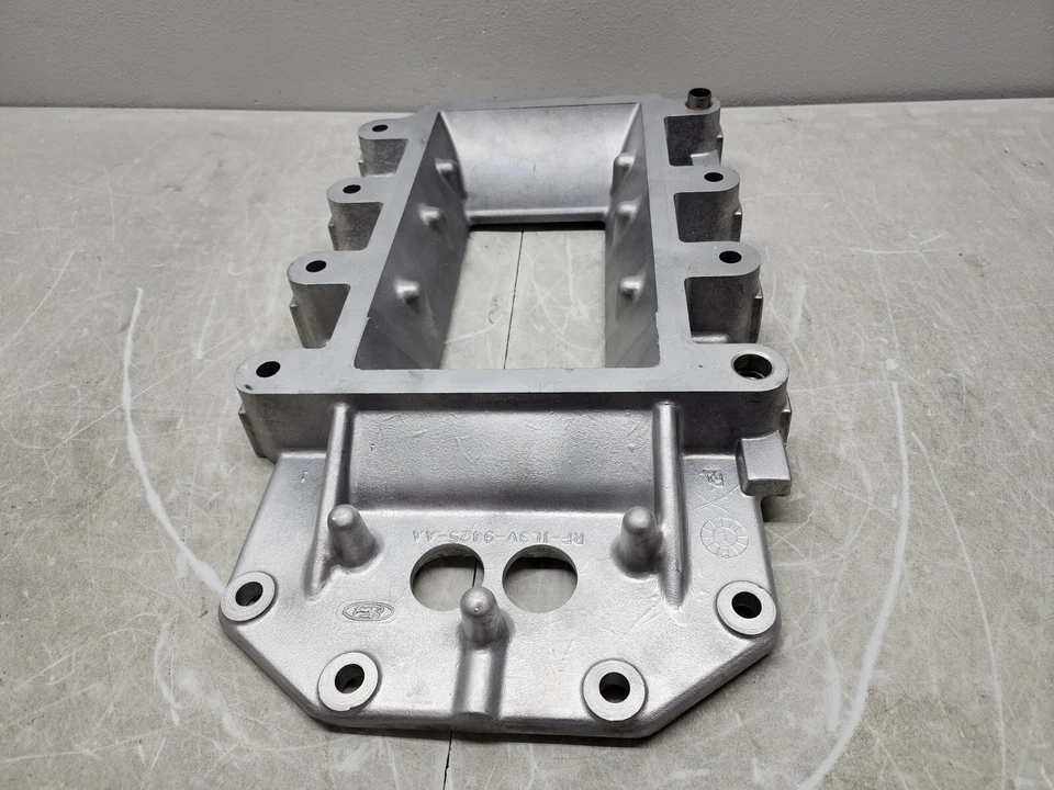 Ford SVT Lightning 2001-2004 placa media 02 03 Harley F150 placa media SVT F150 OEM Foto 4 de 4