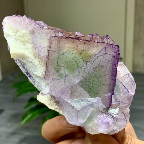 1,51 lb Natural Púrpura "Código QR" Racimo de Fluorita Cristal Mineral Espécimen/Guizhou - Imagen 5 de 23