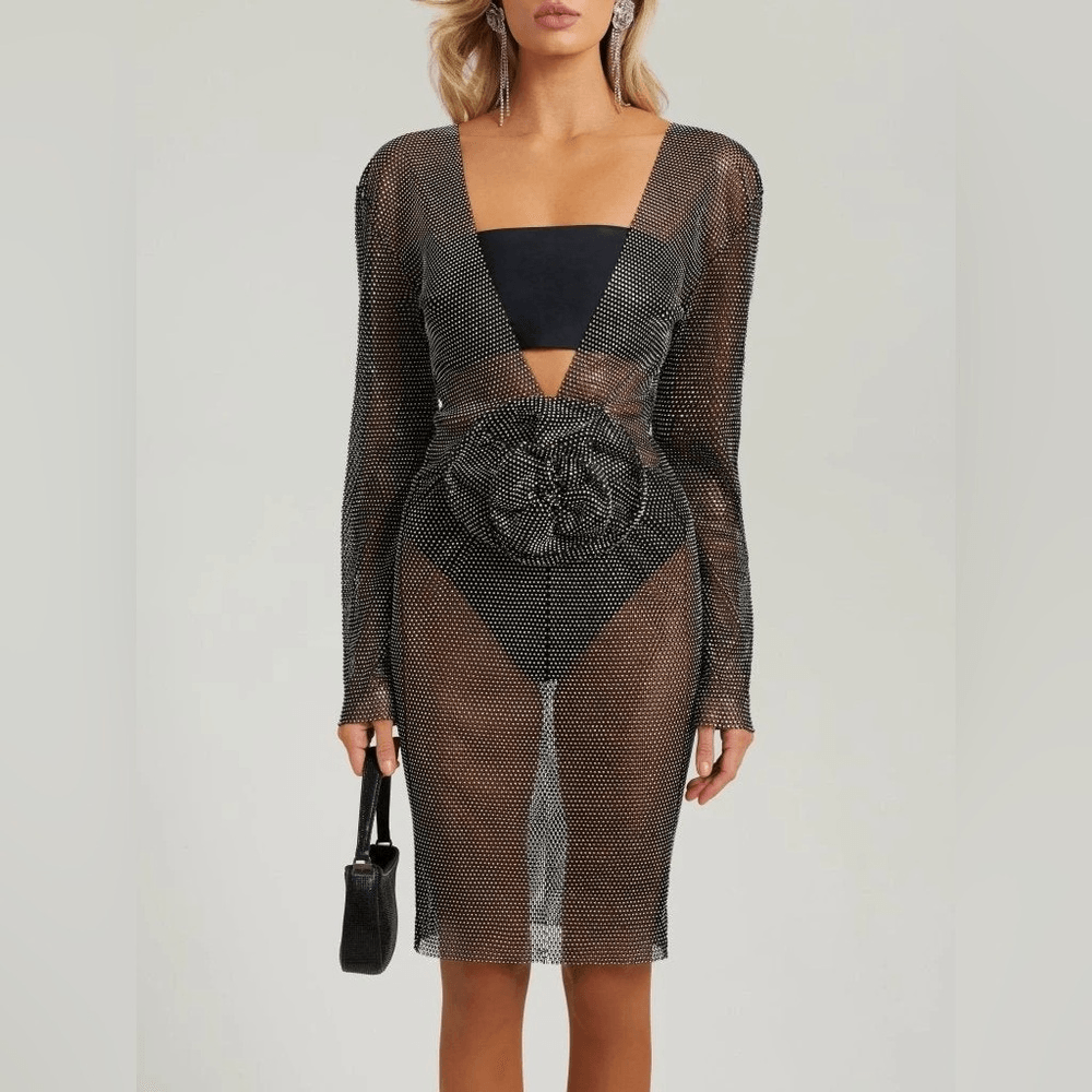 NWT HEIRESS BEVERLY HILLS Black crystal metal mesh flower embellished midi  dress | eBay