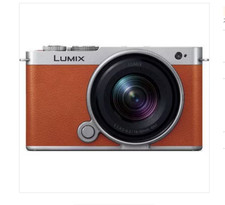 Panasonic Lumix DC-S9N-D Mirrorless Camera Wide-Angle Zoom Lens Kit Camel Orange