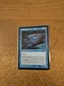 MAGIC THE GATHERING TEMPEST WIND DRAKE LIGHTLY PLAYED