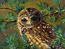Owl Tile Backsplash Susan Libby Bird Art Ceramic Mural SLA019