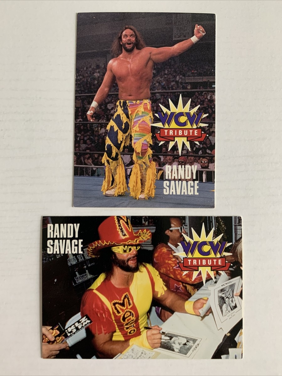 1995 Cardz WCW Tribute: Randy 