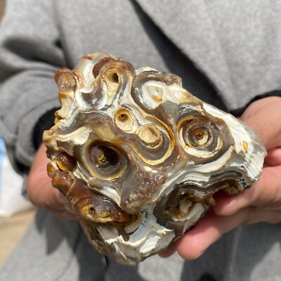1.4lb Natural Symbol Agate Eyes Tubular Agate crystal quartz Collection Specimen