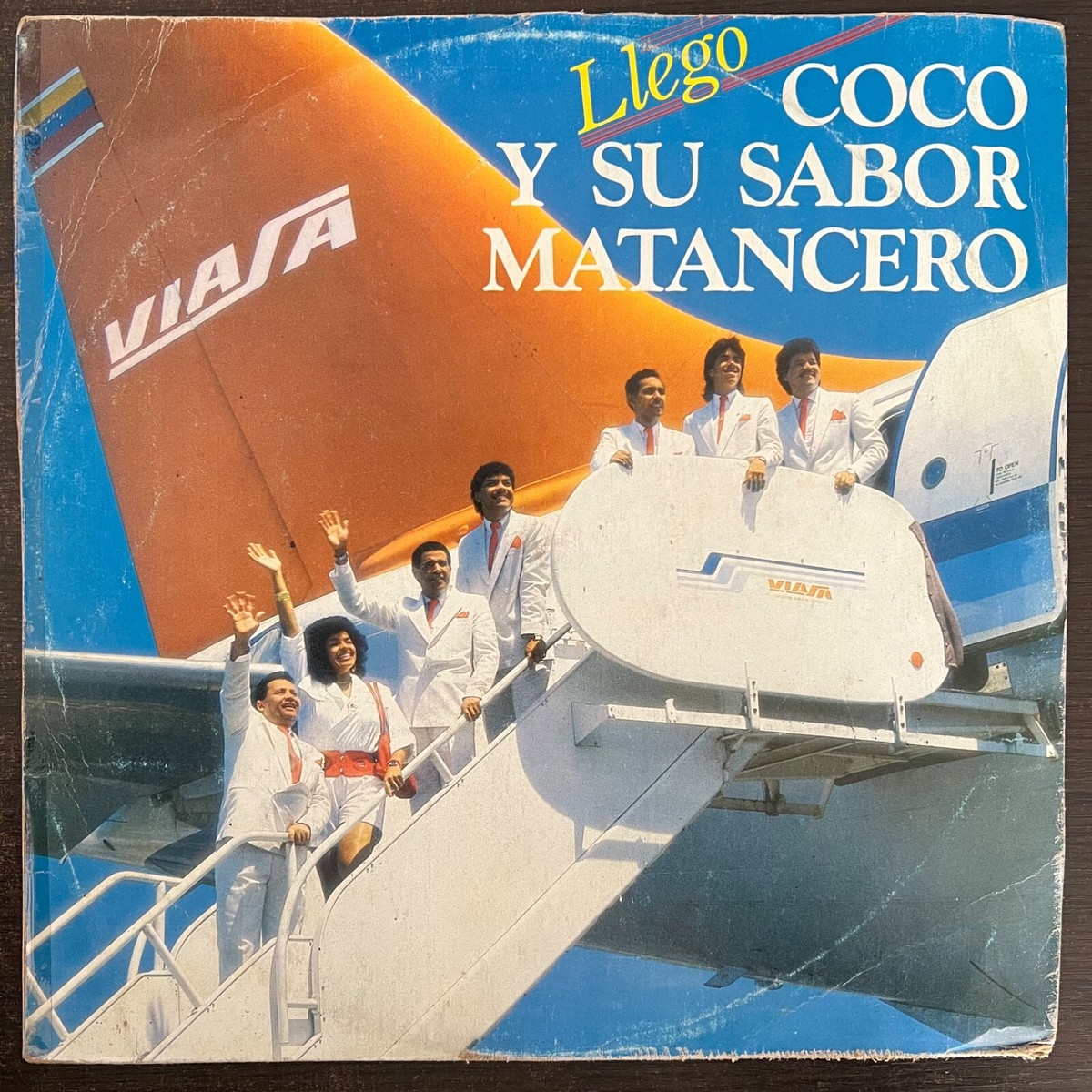 その他 Coco. Amazon.com : Coco Bliss (10lbs) - Organic Coco Coir for Plants