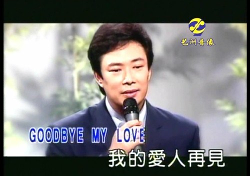 Fei Yu Ching 費玉清 精選 (MTV ) 2 DVD _ 70 Tracks _ All Region - Box Set - Picture 6 of 7