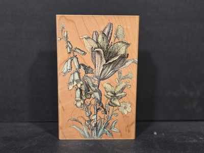 2000 Hero Arts Rubber Stamp, S1894 Spring Garden Etching