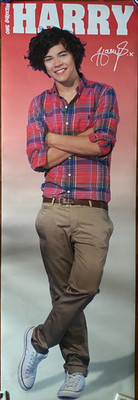 rare HARRY STYLES ONE DIRECTION Great 5 Ft 2 Door Size Poster 2011 21 x 62 inch