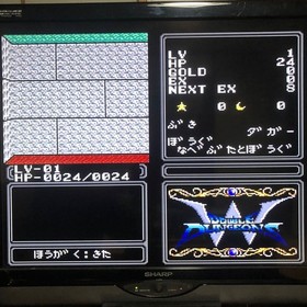 PC Engine double dungeons double dungeons PC Engine HuCARD Japan HA