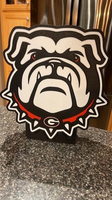 George Bulldogs LED Display Light