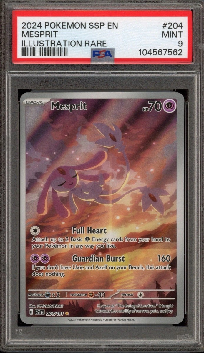 Angry Maple 英語 PSA8 Angry Maple 英語 PSA8 Angry Maple 英語 PSA8 Angry Maple 英語 PSA8