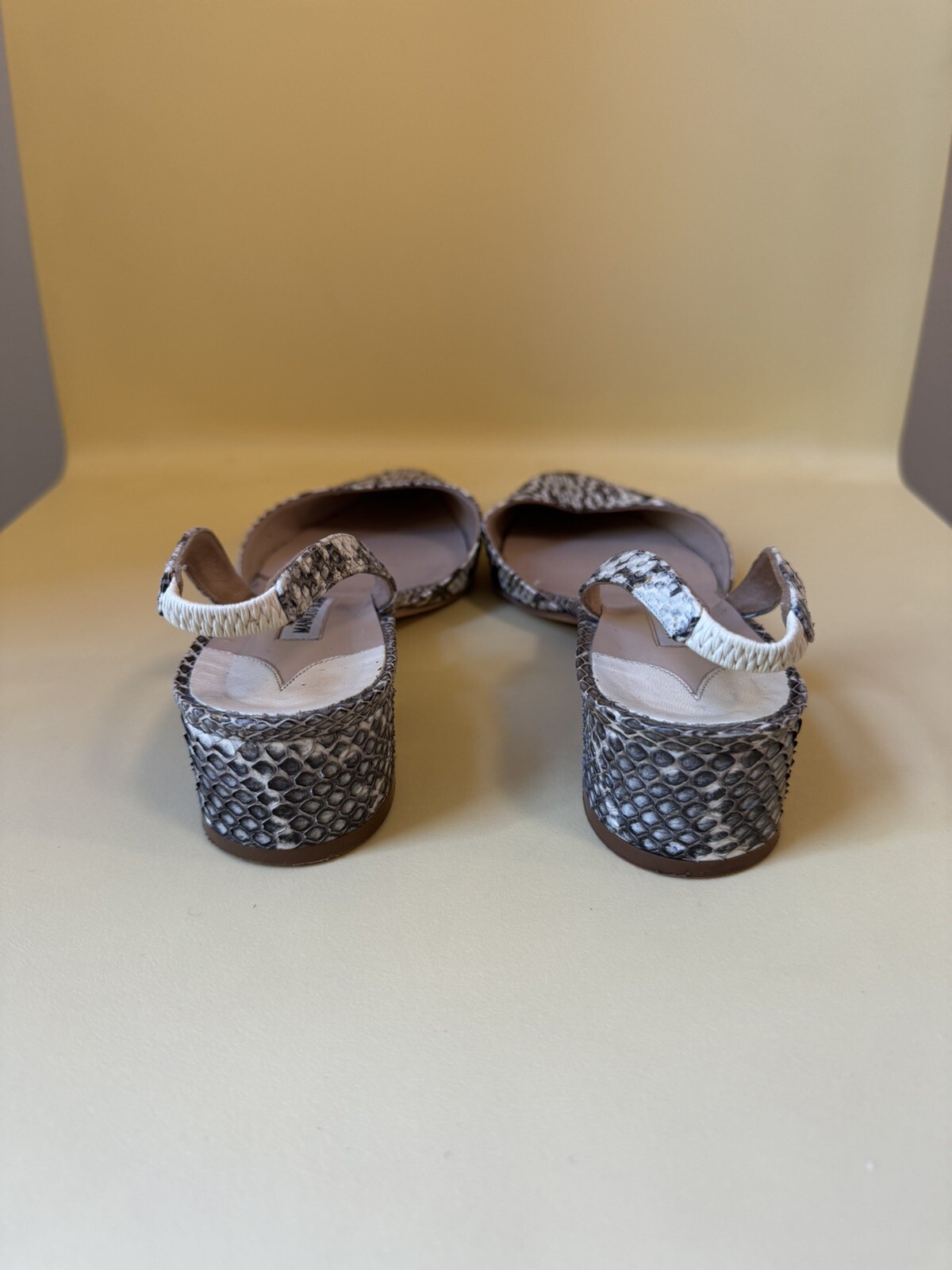 Authentic Manolo Blahnik Python Slingbacks Size 39 - image 3