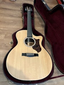 Martin GPCPA4 ジャンク Martin Gpcpa4 Rosewood | eBay