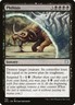 MTG Phthisis (105/359) Adventures in the Forgotten Realms Commander NM