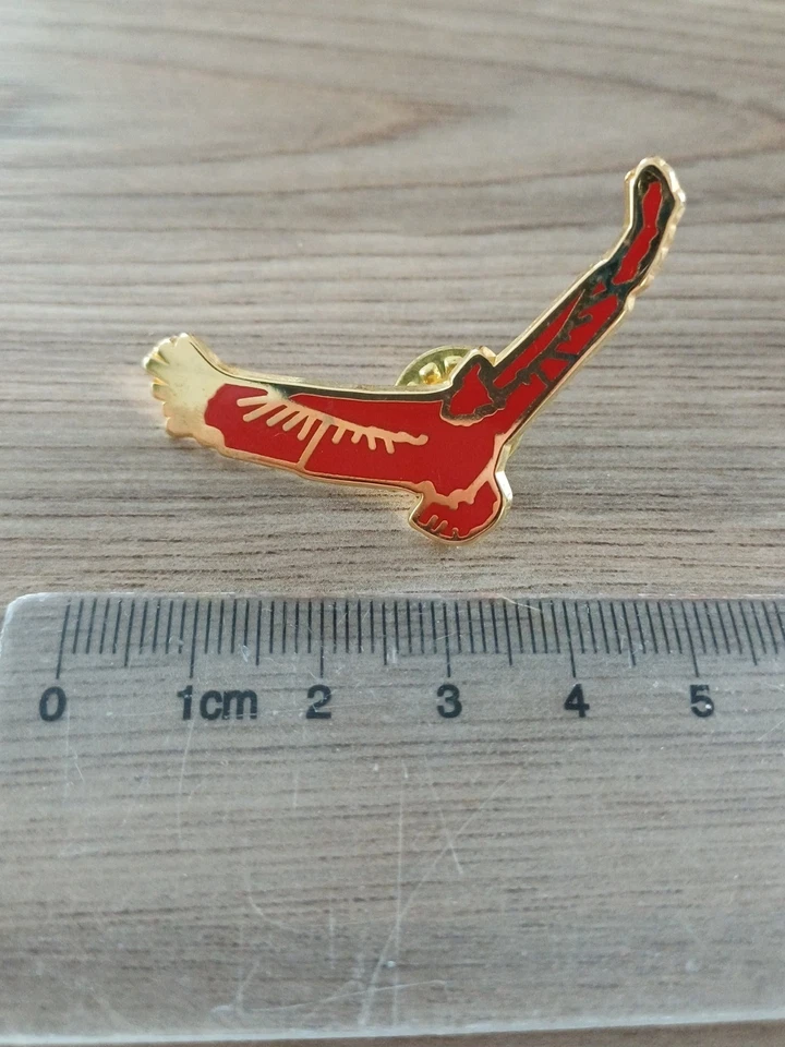 PINS / Insigne Armée de l'Air - Photo 1/2