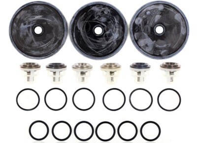 Comet 5026.0084 Repair Kit for APS51 Diaphragm Pump