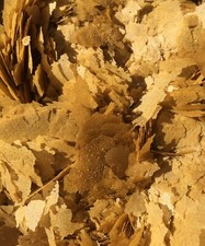 Koi Flake Food, 44 Protein 5 lbs.