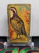 1910s Mecca Cigarettes "Quail" L👀k Closely! 