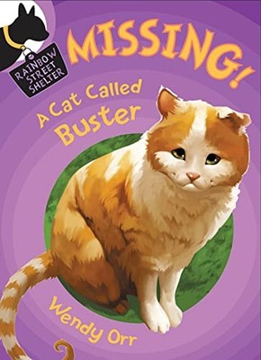 Missing!: A Cat Called Buster (Rainbow Str... by Orr, Wendy Paperback / softback