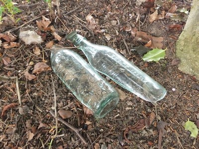 Foto A2 Alter Wurf im Laubstreu Selkirk alte Sprudel-Trinkflasche WI C2013