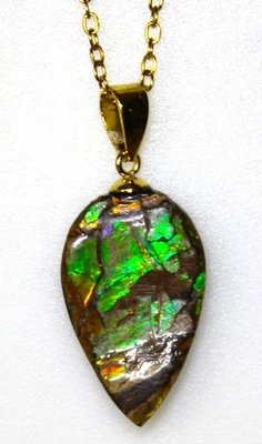 Ammolite Multicolore de 14,40 ct - Pendentif + Chaîne Acier Inoxydable Doré - Photo 1/4