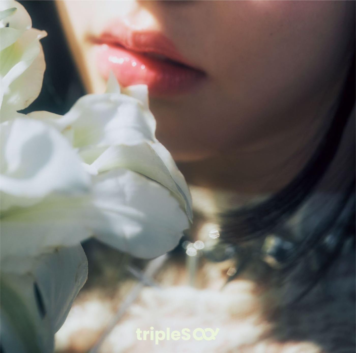 tripleS tripleS Hacchi Untitled Standard Edition From Japan CD 3 tracks Music