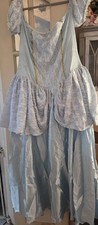 Adult Fancy Dress Cinderella Dress, Underskirt, Gloves, Neck Tie