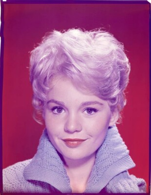 Tuesday Weld Striking Glamour Photo Shoot 1960's Original 8x10