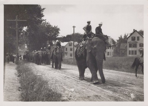 Ancien éléphant à Bascule Steiff - Circa 1910/20 - Restauré