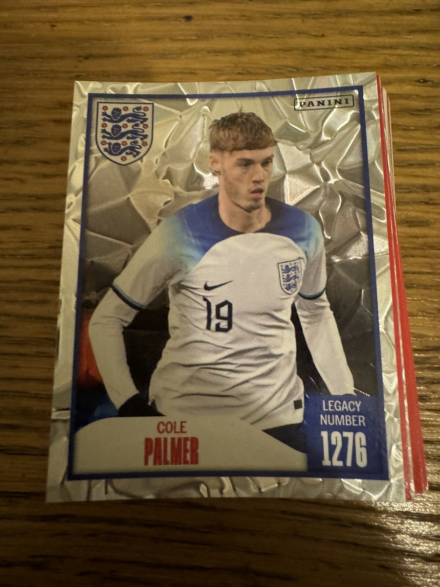 Gareth Southgate England Kalvin Phillips Shirt Panini England 2024