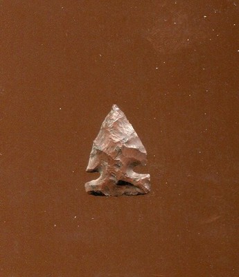 SCARCE FINE BEAR POINT - KLICKITAT COUNTY, WASHINGTON - EX DAVID IMLER - F21