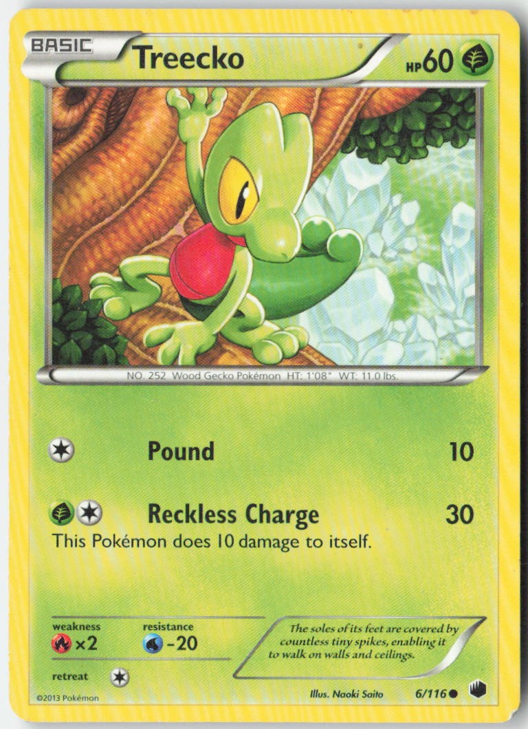 Treecko 6/116 Common Plasma Freeze Pokemon Moderately Played