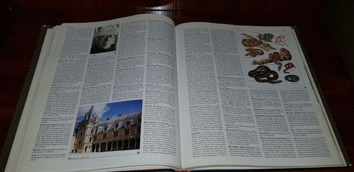 ENCICLOPEDIA ESPASA OPTIMA. ESPASA CALPE. 10 TOMOS COMPLETA PRIMERA EDICION 1996 - Imagen 5 de 8