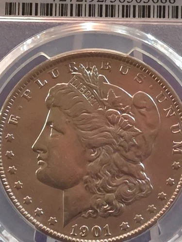 1901-P  Morgan Silver Dollar Rare Key Date Mint XF Detail PCGS G/S Graded 01/26!