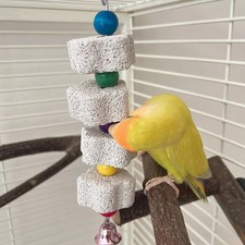 Teeth Grinding Toy - Chewing Rock for Parrots Hamsters - Cage Accessory