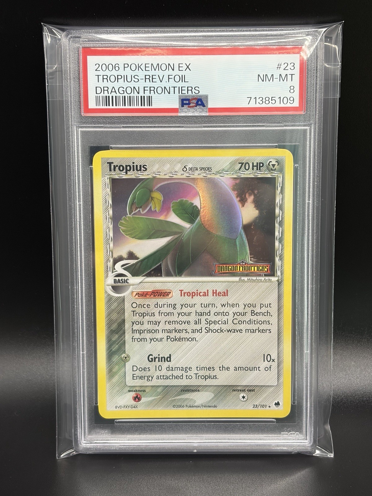 2006 TROPIUS Pokemon Card #23 EX Dragon Frontiers Reverse Holo Stamped PSA 8
