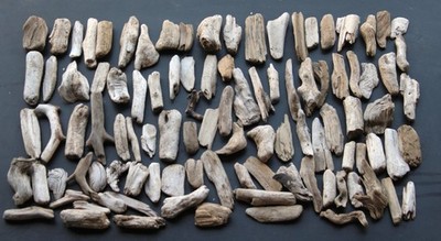 Treibholz Schwemmholz Driftwood 100   Minis  Dekoration Basteln  6-14 cm **44**