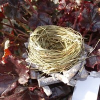 "Deko-Nest \"Vogelnest\" 12Cm FrüHling Sommer Holz Naturliche Zweige Stroh Ostern"
